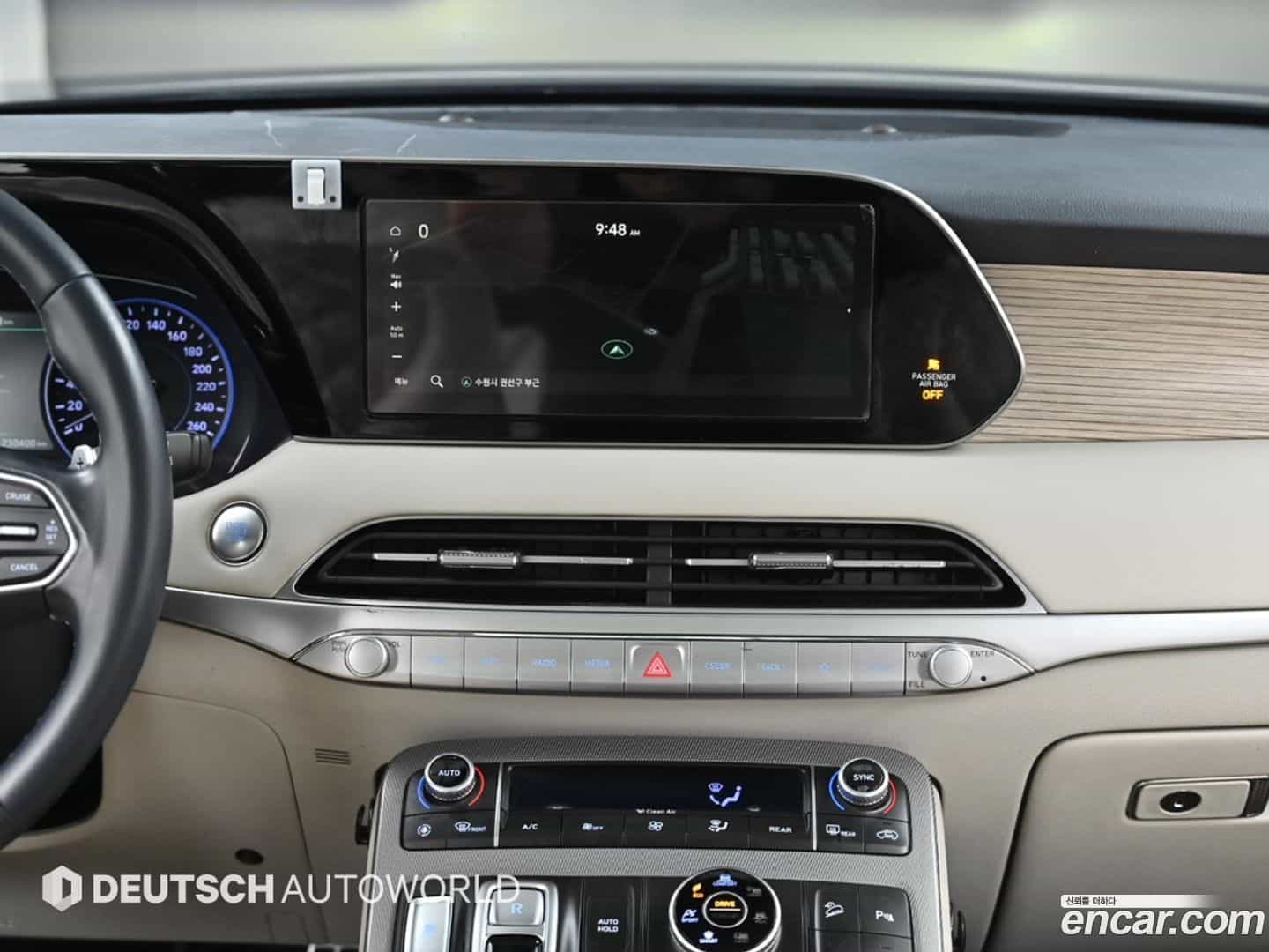 Palisade Hyundai 2019.0-OPTION-018