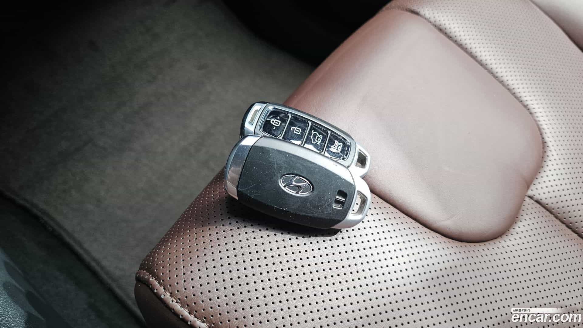 Santafe Hyundai 2018.10-OPTION-020
