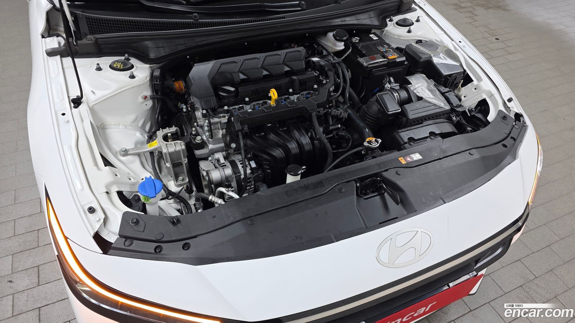 Main__Slider__Photo:AVANTE Hyundai 2024.3-5