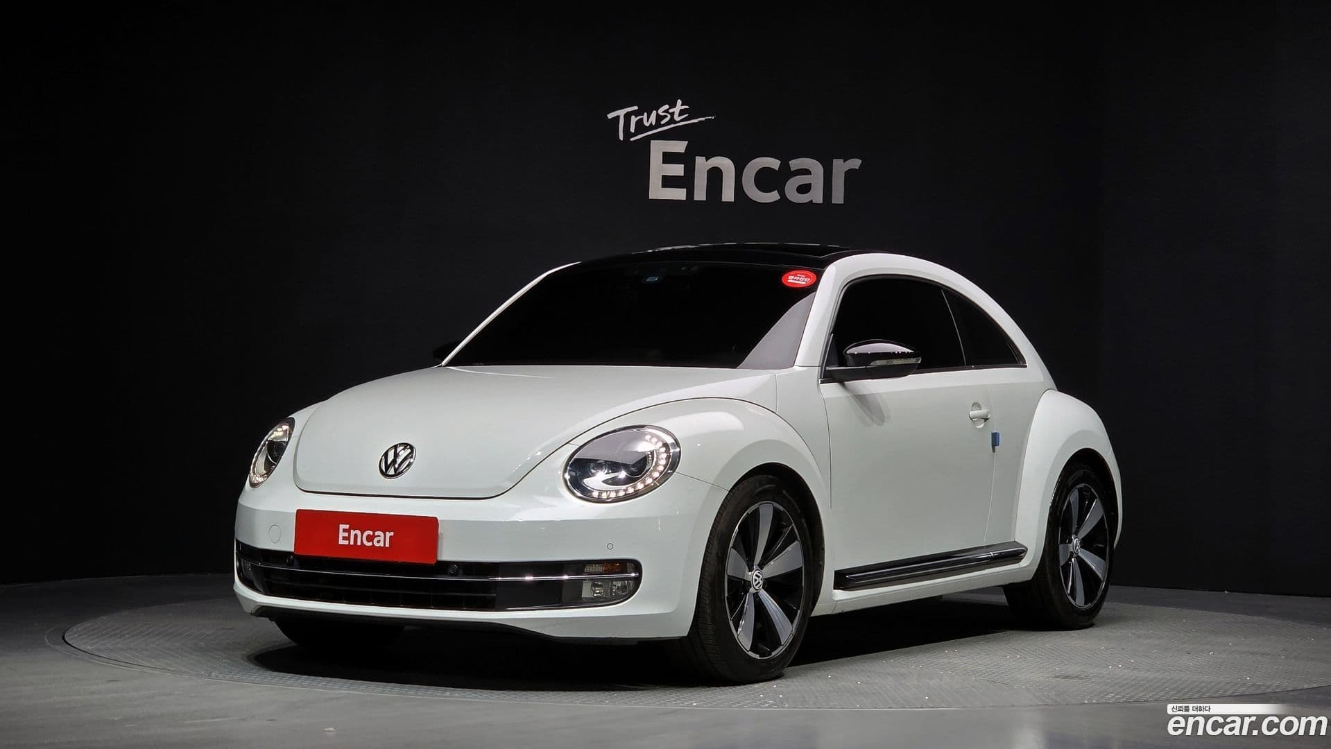 Main__Slider__Photo:Beatle Volkswagen 2016.4-0
