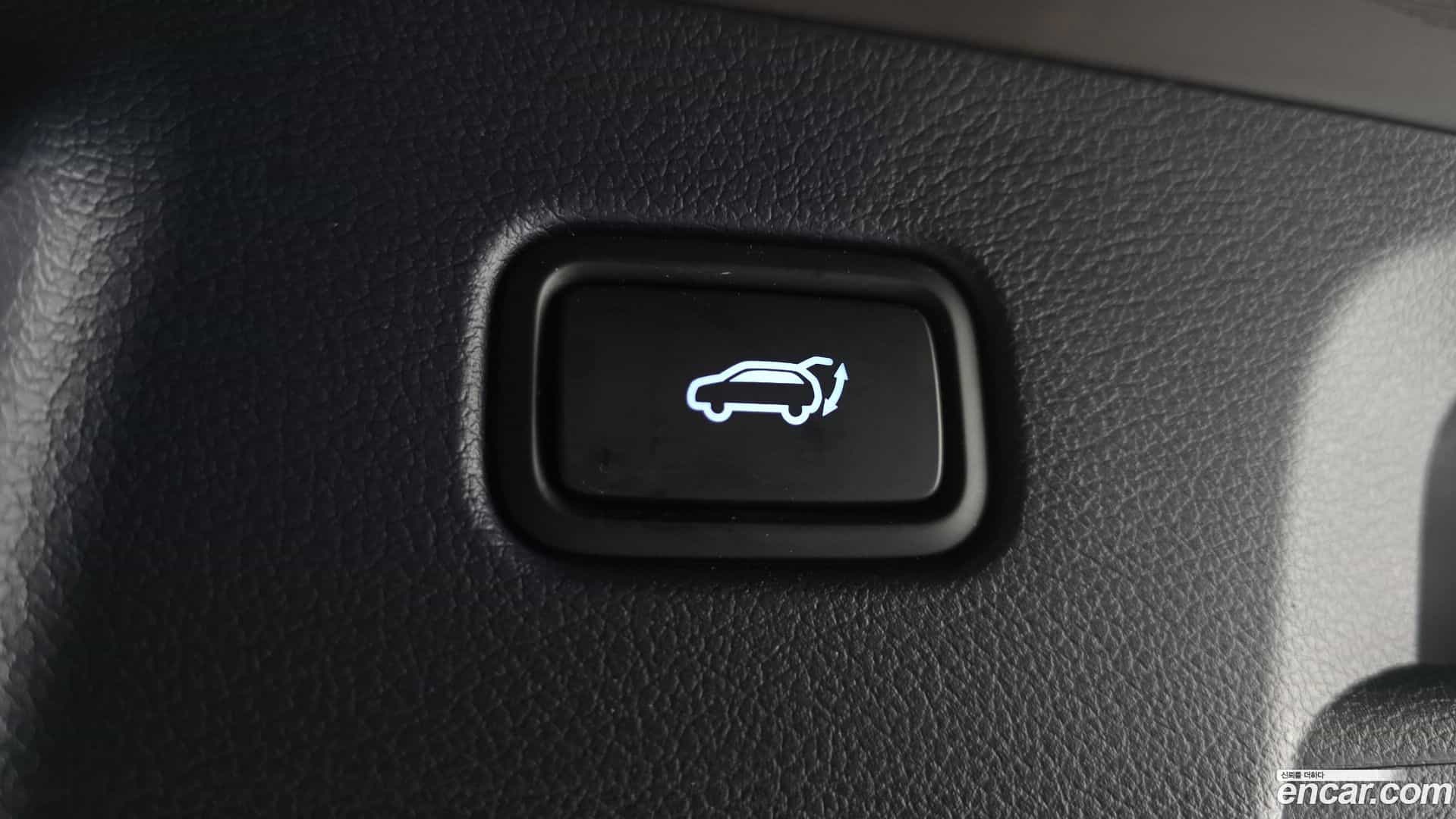 Palisade Hyundai 2020.4-OPTION-021