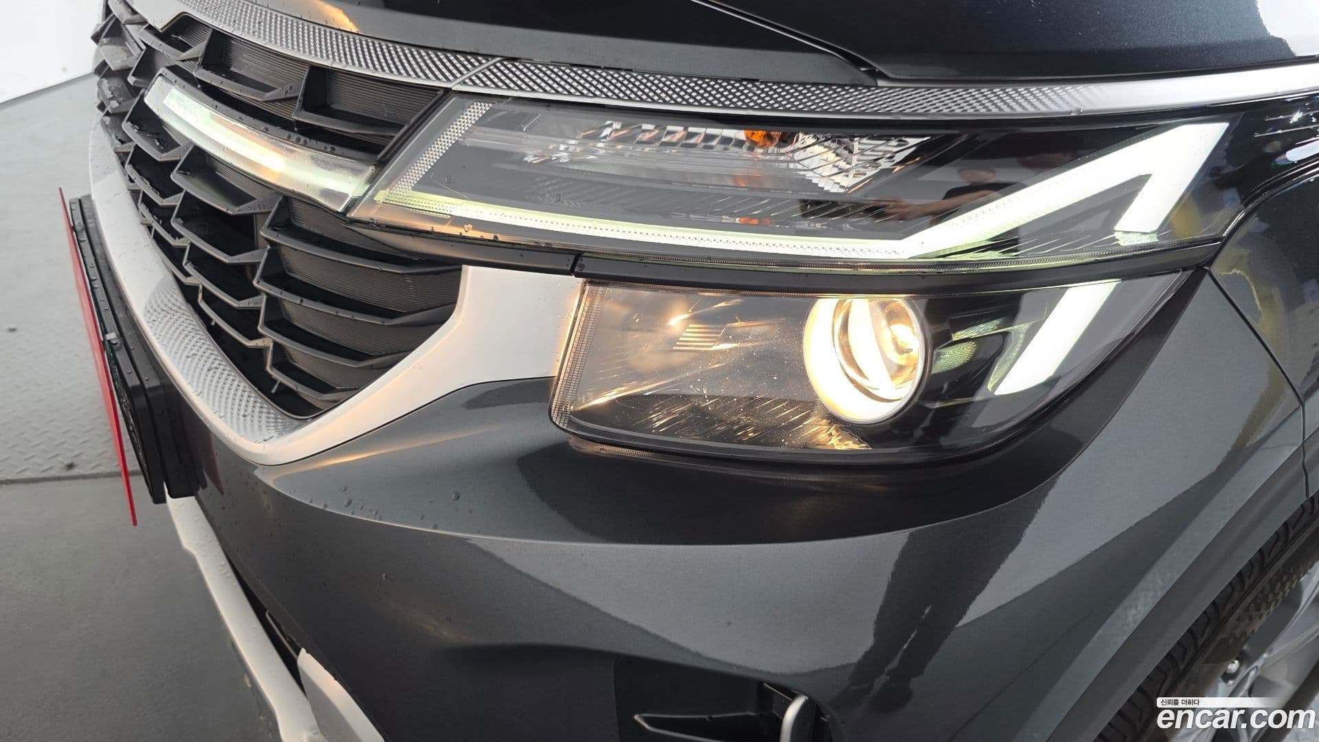 Main__Slider__Photo:Seltos Kia 2022.9-21
