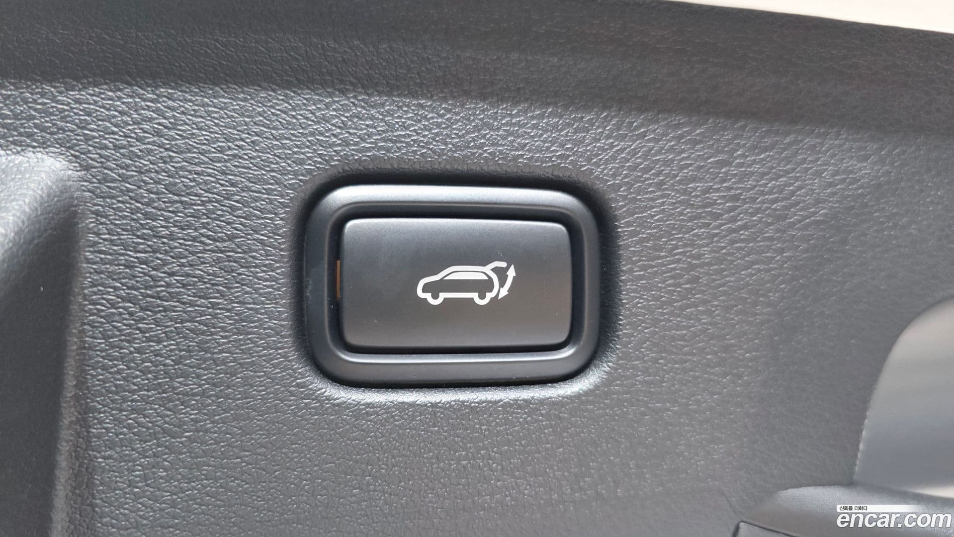 Main__Slider__Photo:Sportage Kia 2025.1-19
