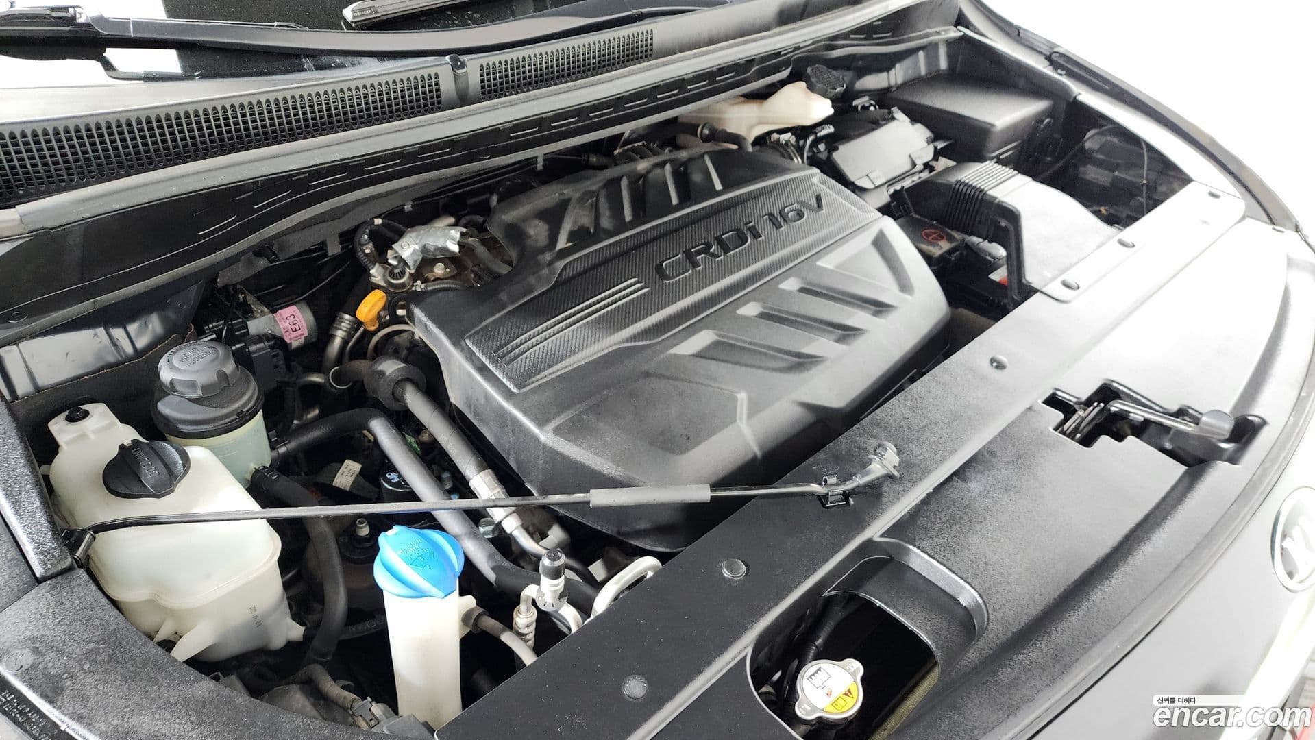 Main__Slider__Photo:Canival Kia 2019.6-5