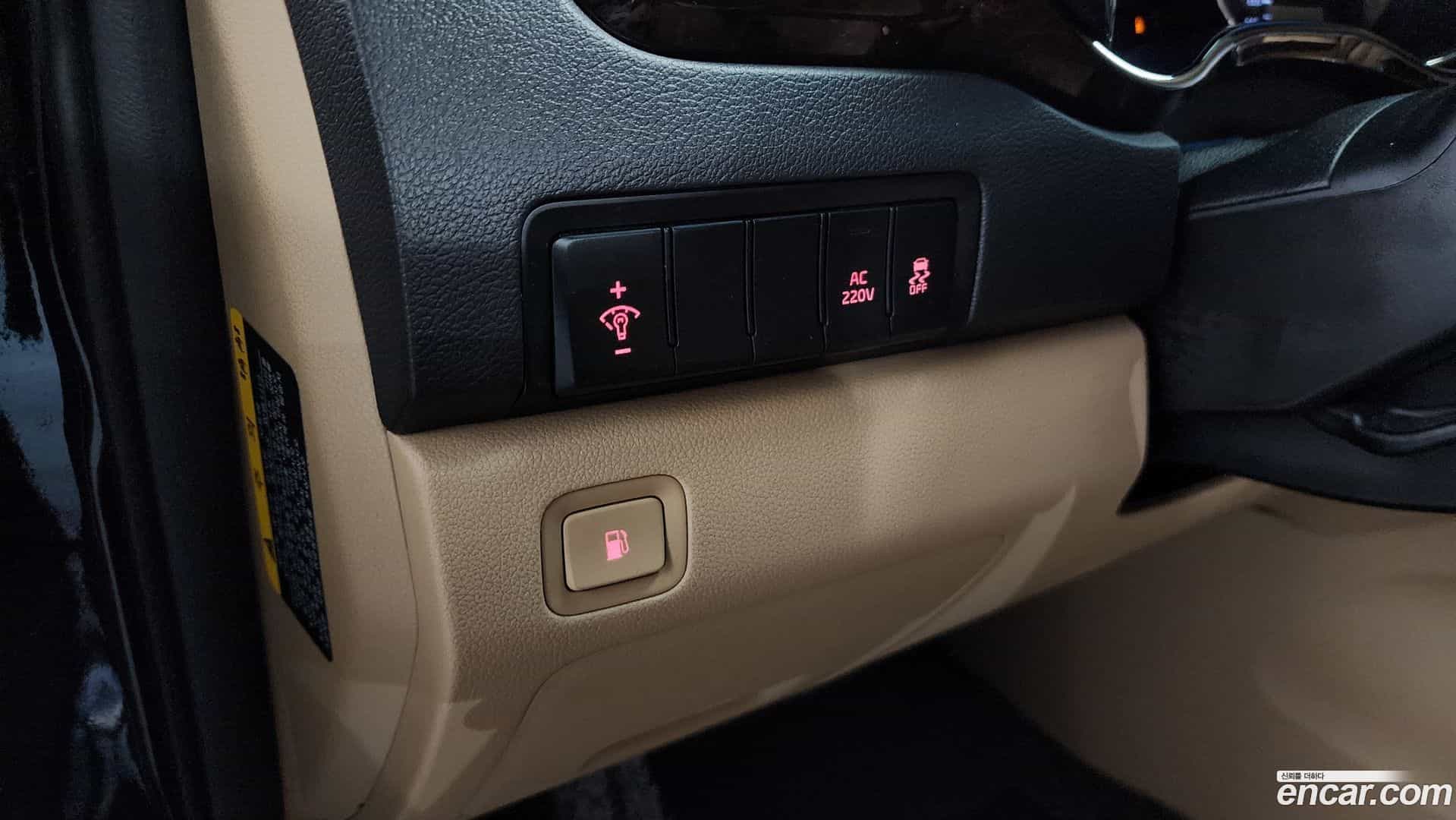 Canival Kia 2019.6-OPTION-043