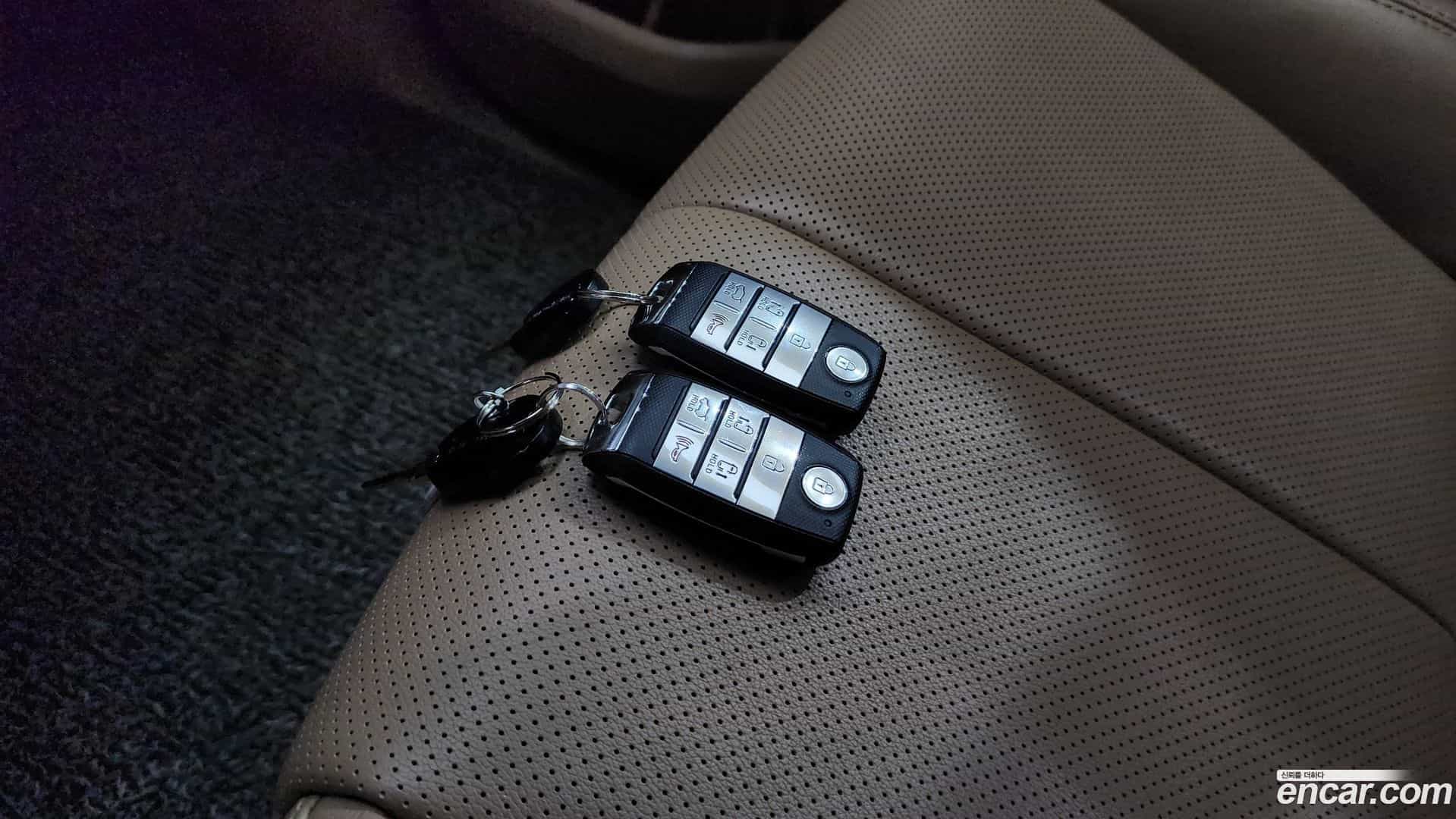 Canival Kia 2019.6-OPTION-045
