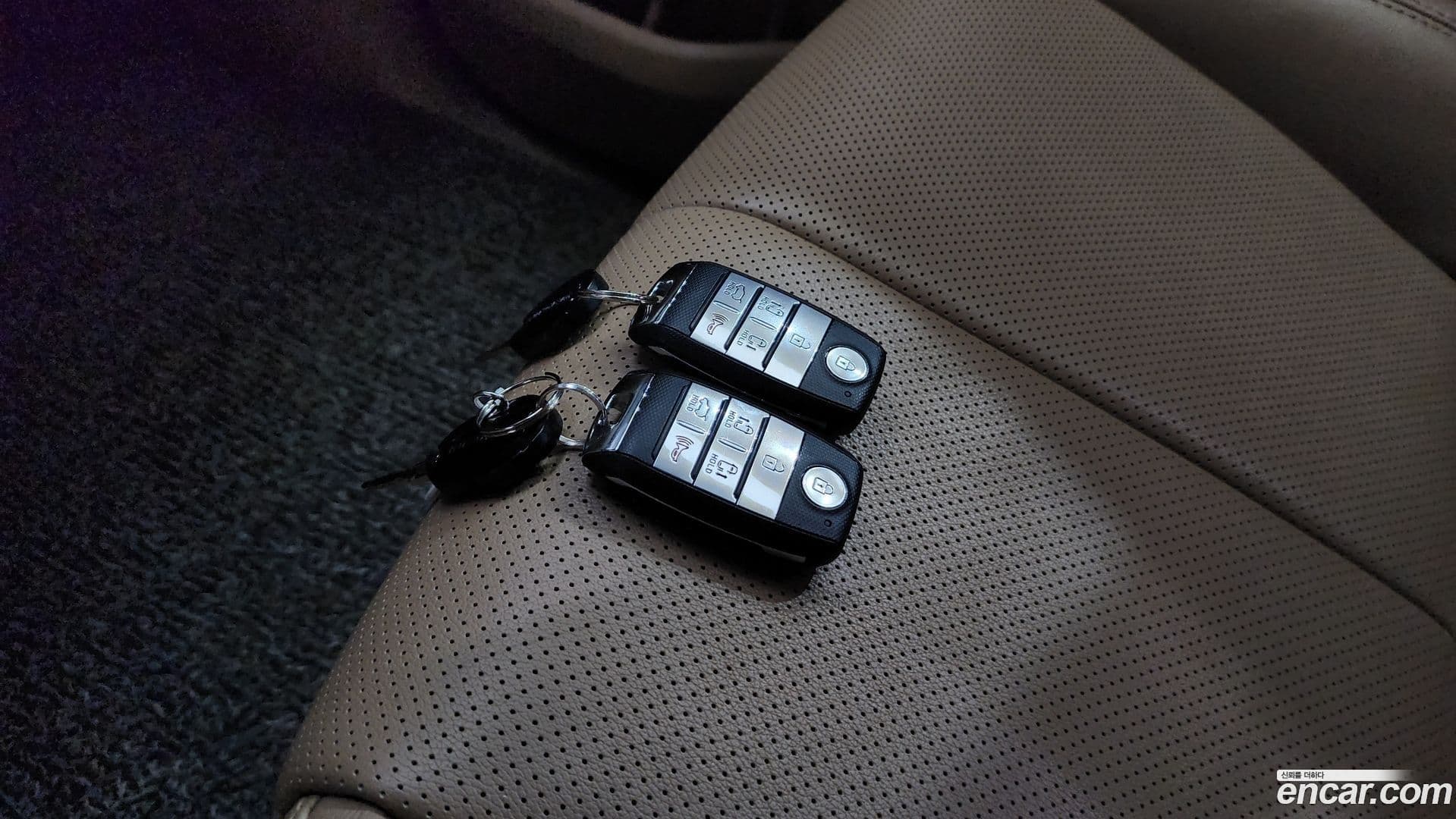 Main__Slider__Photo:Canival Kia 2019.6-31