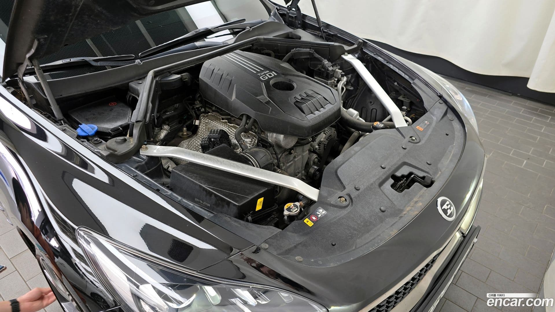 Main__Slider__Photo:Stinger Kia 2019.3-5