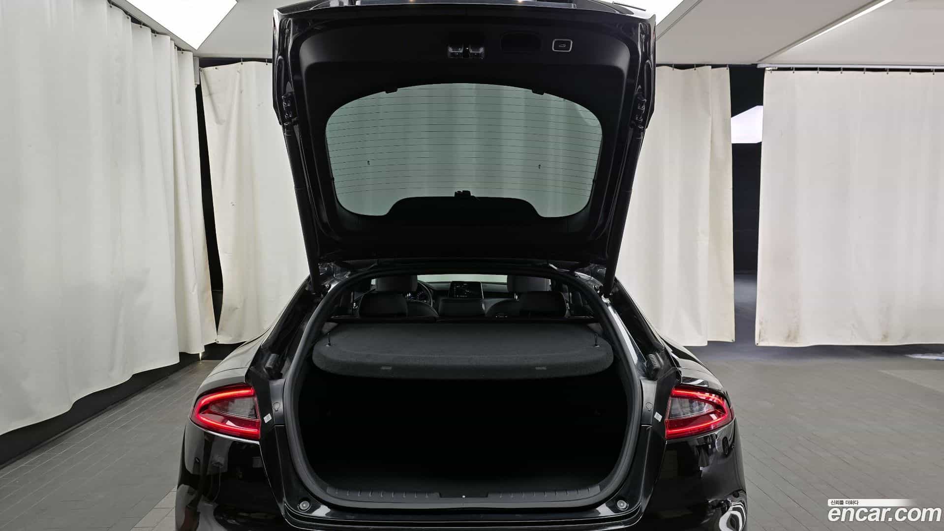 Stinger Kia 2019.3-OPTION-024