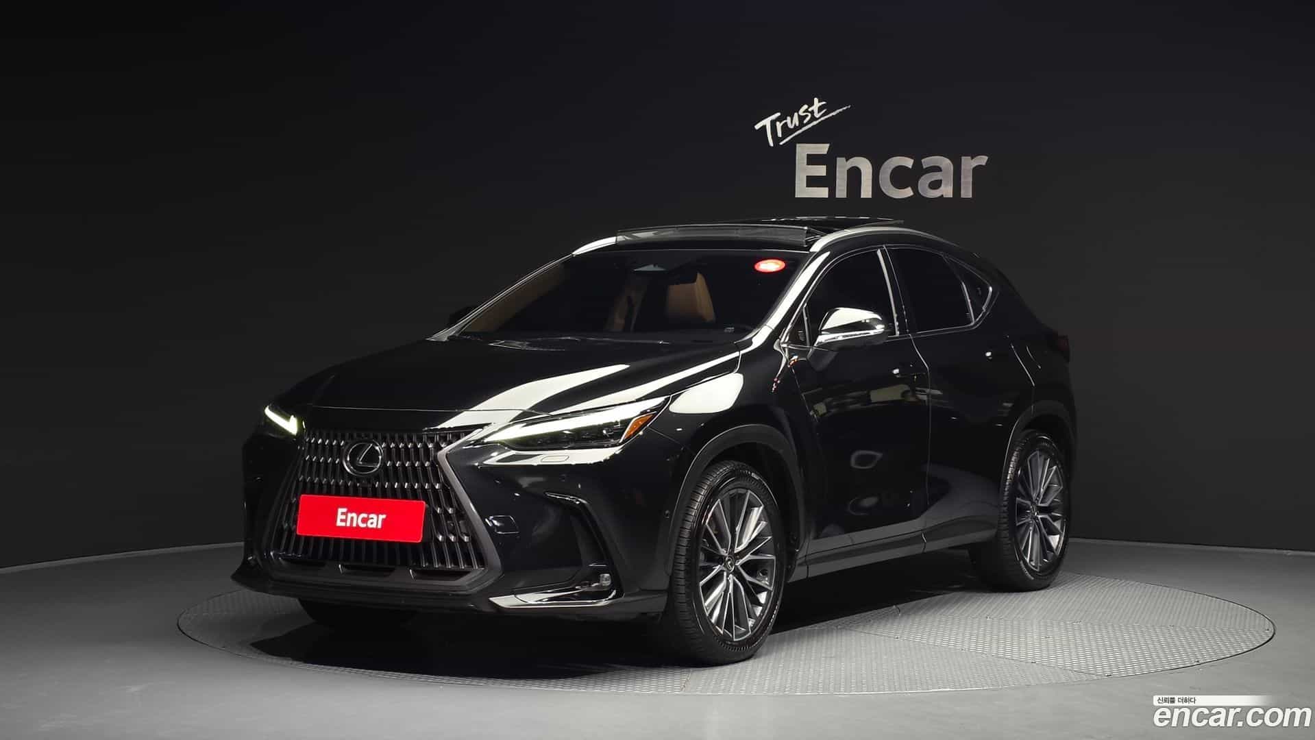NX Lexus 2025.2-OUTER-001