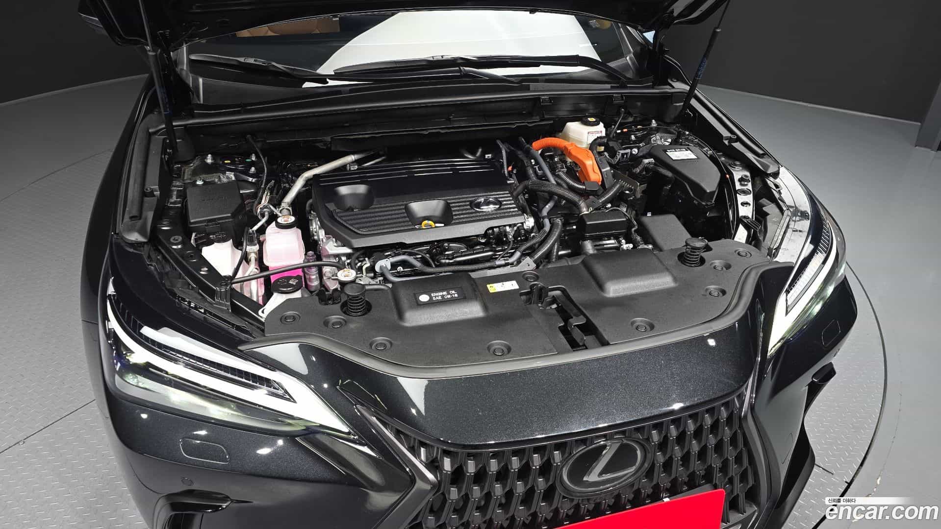 NX Lexus 2025.2-OUTER-006