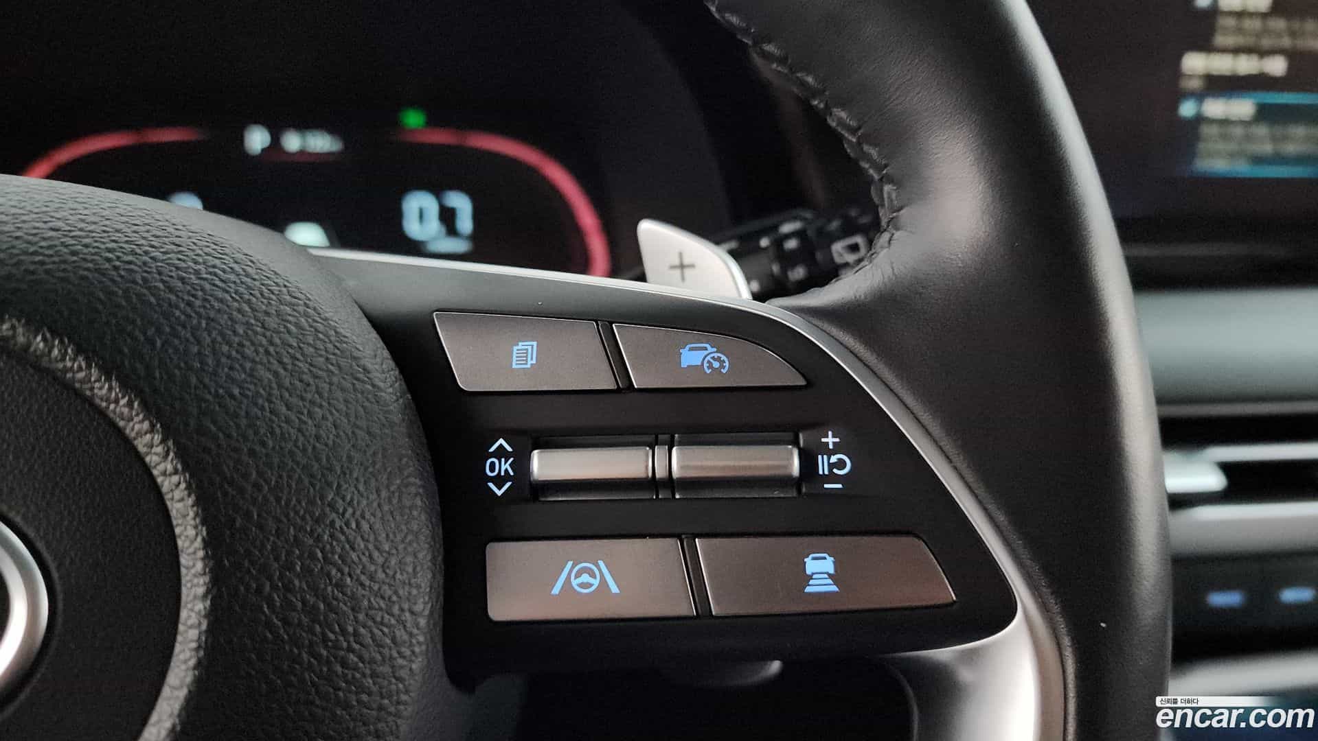 Palisade Hyundai 2022.7-OPTION-019