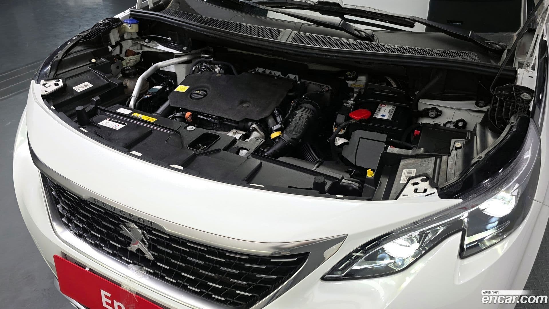 Main__Slider__Photo:5008 Peugeot 2020.4-5