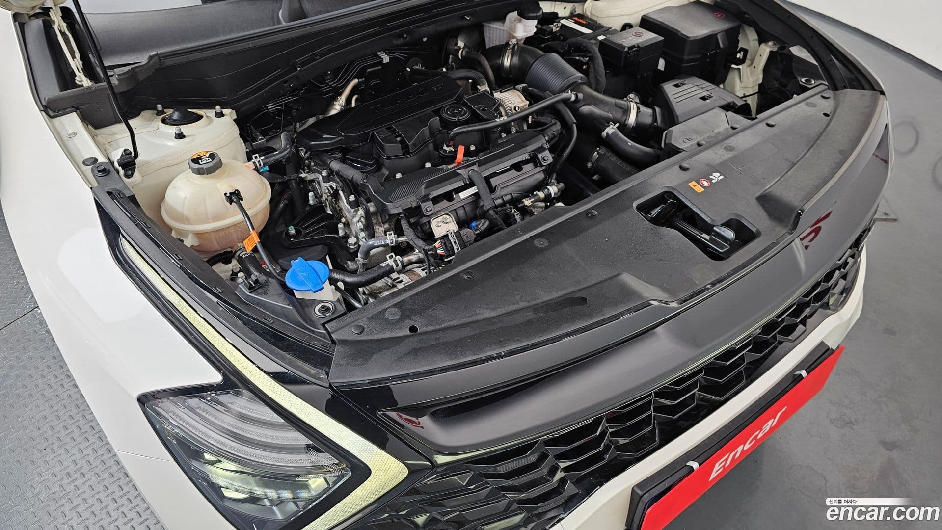 Main__Slider__Photo:Sportage Kia 2022.3-5