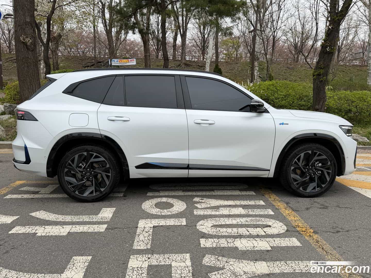 Grand Koleos Renault Korea 2025.8-OUTER-005