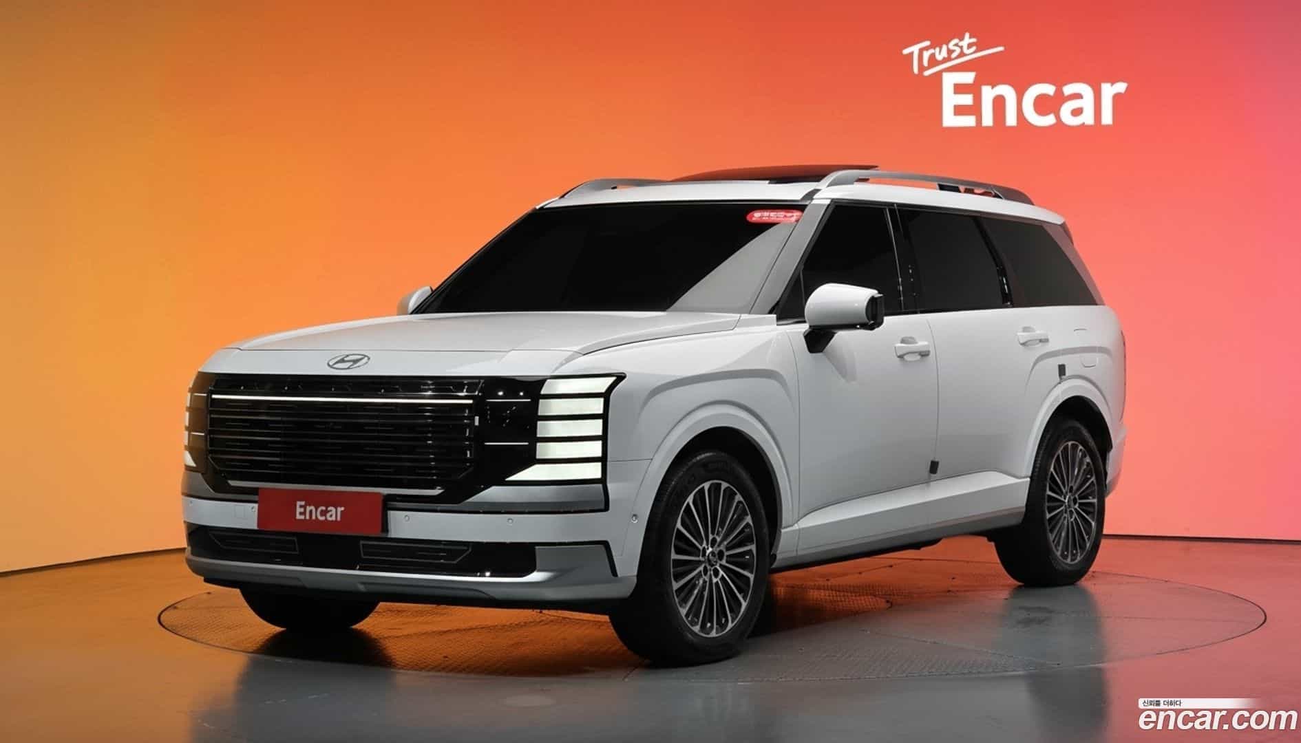 Palisade Hyundai 2025.1-DIAG2-001