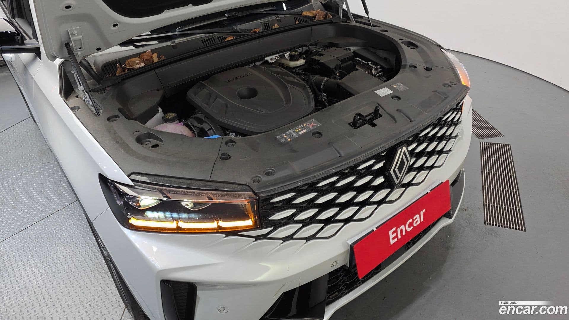 Main__Slider__Photo:Grand Koleos Renault Korea 2025.1-5