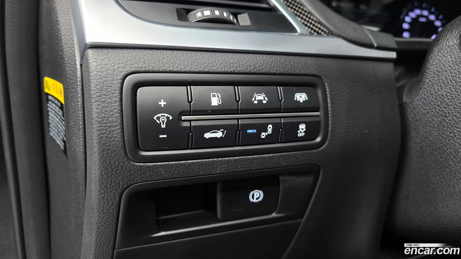 G80 Genesis 2017.6-OPTION-040