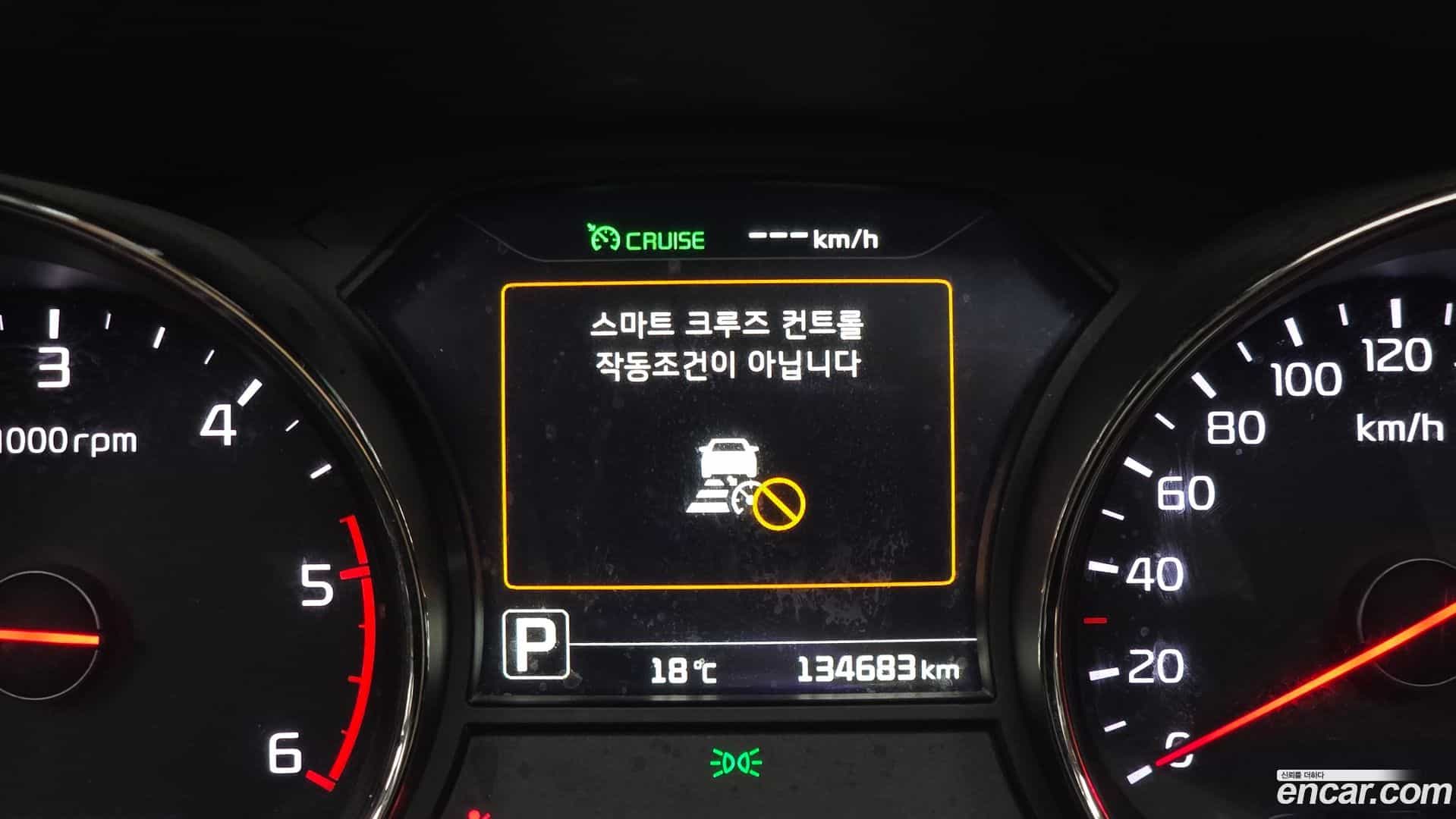 Canival Kia 2016.10-OPTION-044