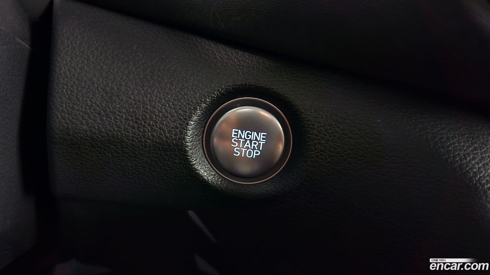 Main__Slider__Photo:Santafe Hyundai 2022.10-34