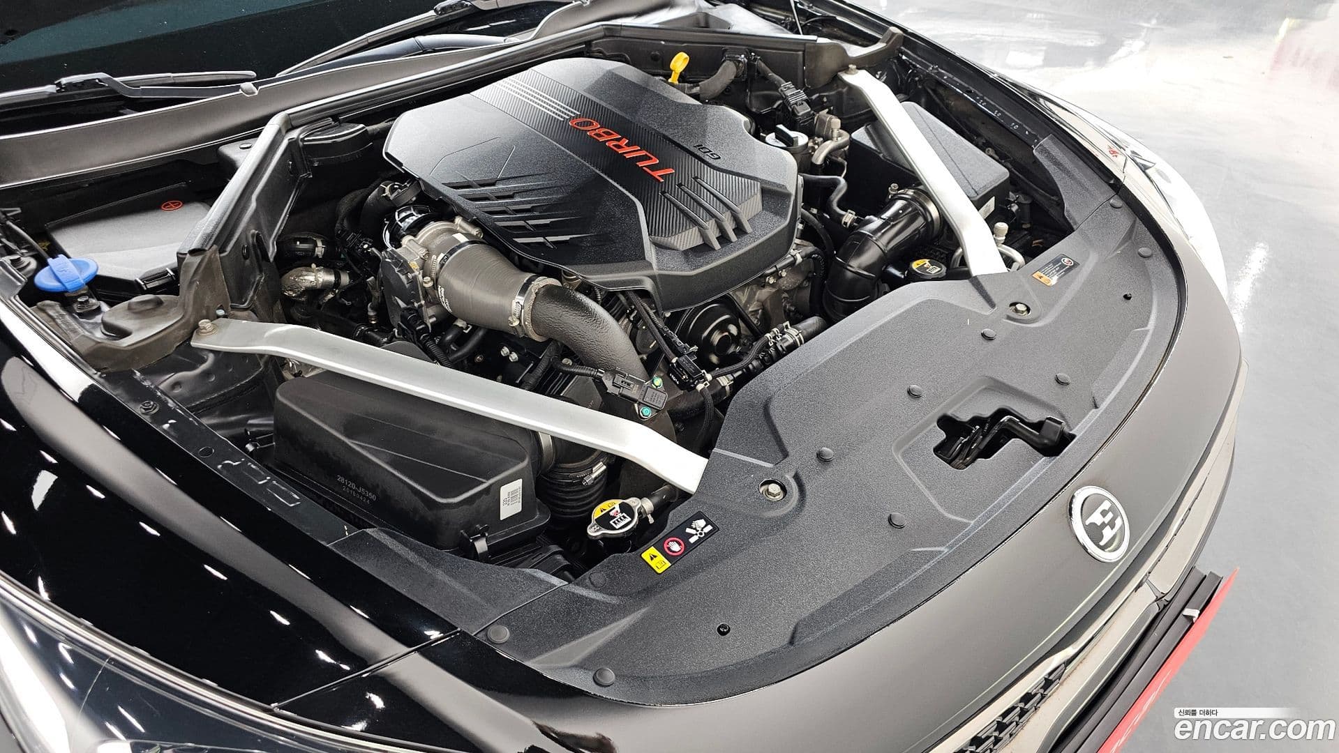Main__Slider__Photo:Stinger Kia 2018.6-5