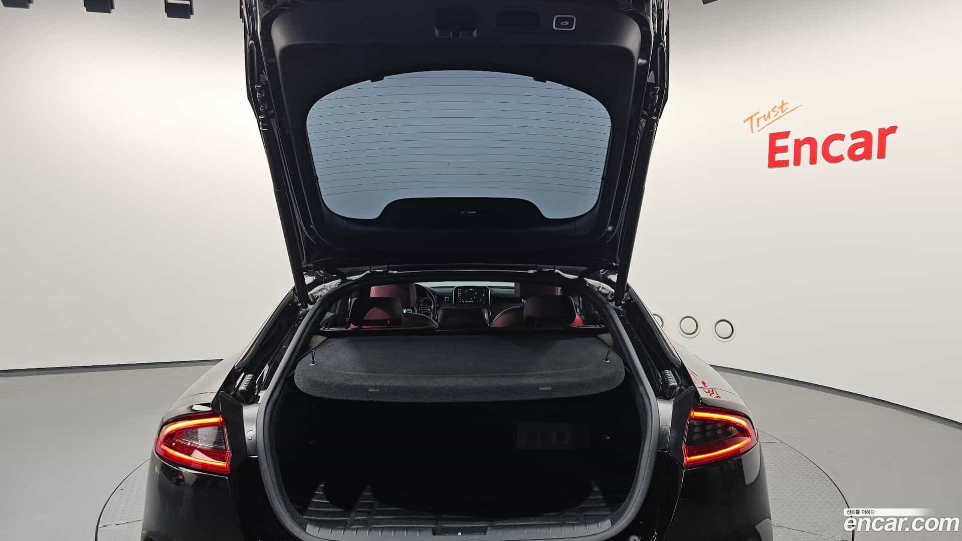 Stinger Kia 2018.6-OPTION-022