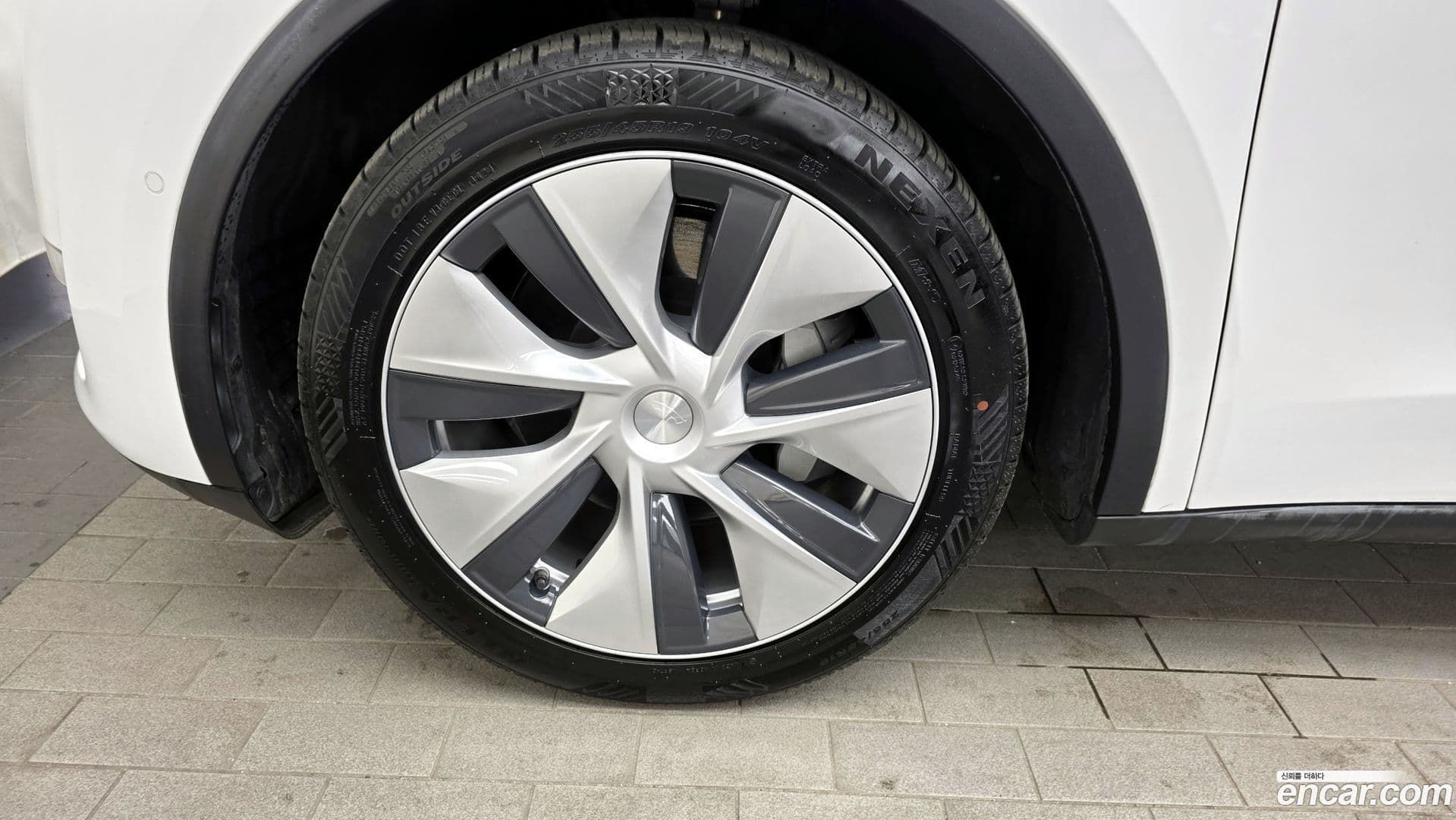 Main__Slider__Photo:Model Y Tesla 2021.7-4