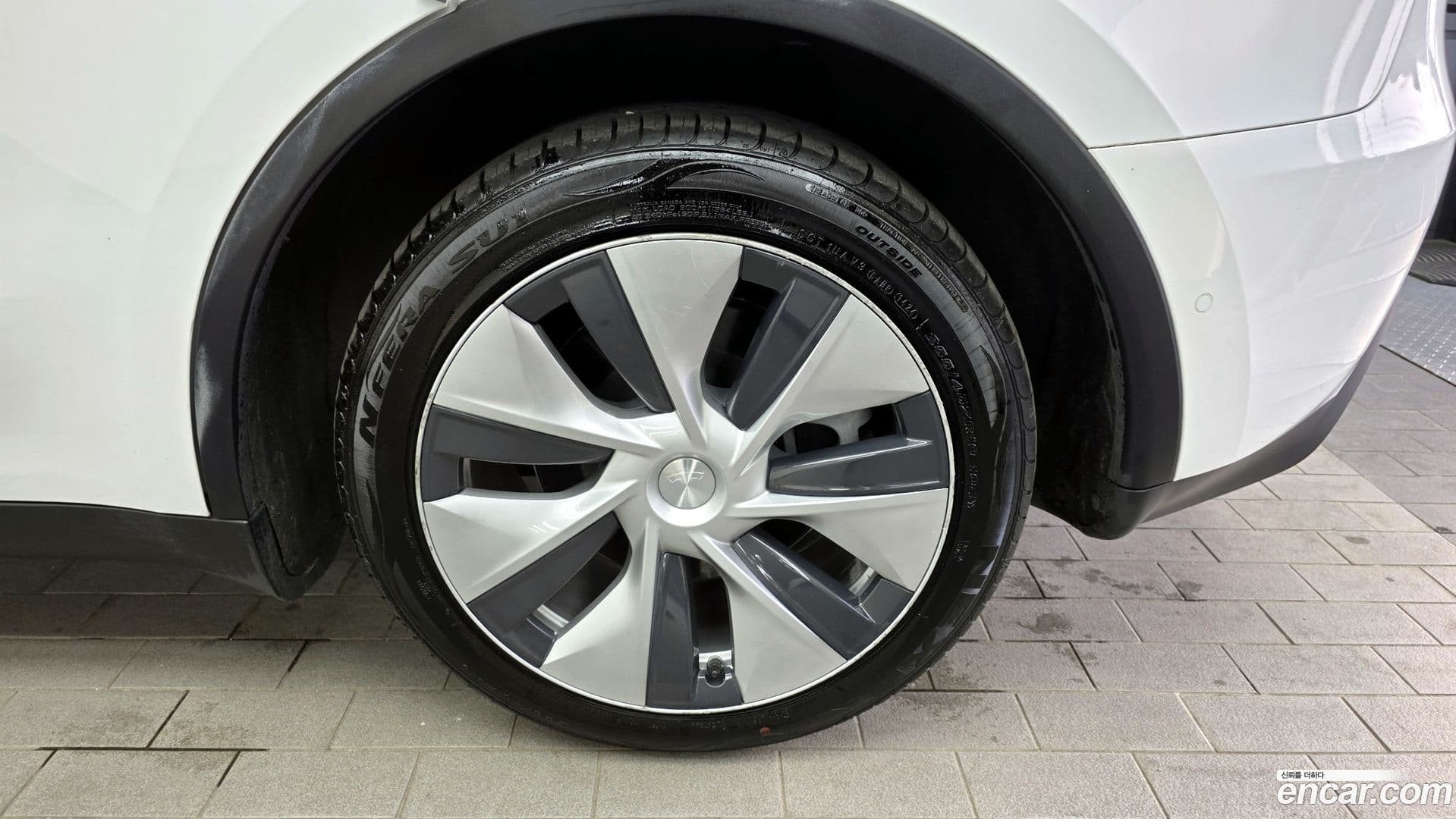 Main__Slider__Photo:Model Y Tesla 2021.7-20
