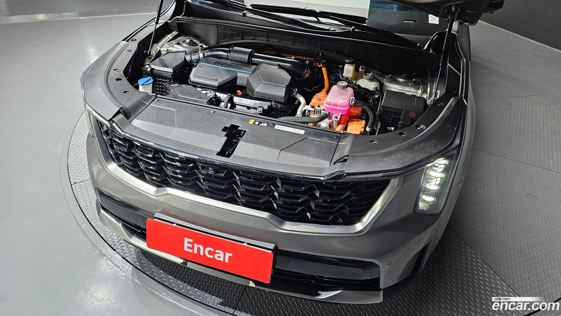 Main__Slider__Photo:Sorento Kia 2024.6-5