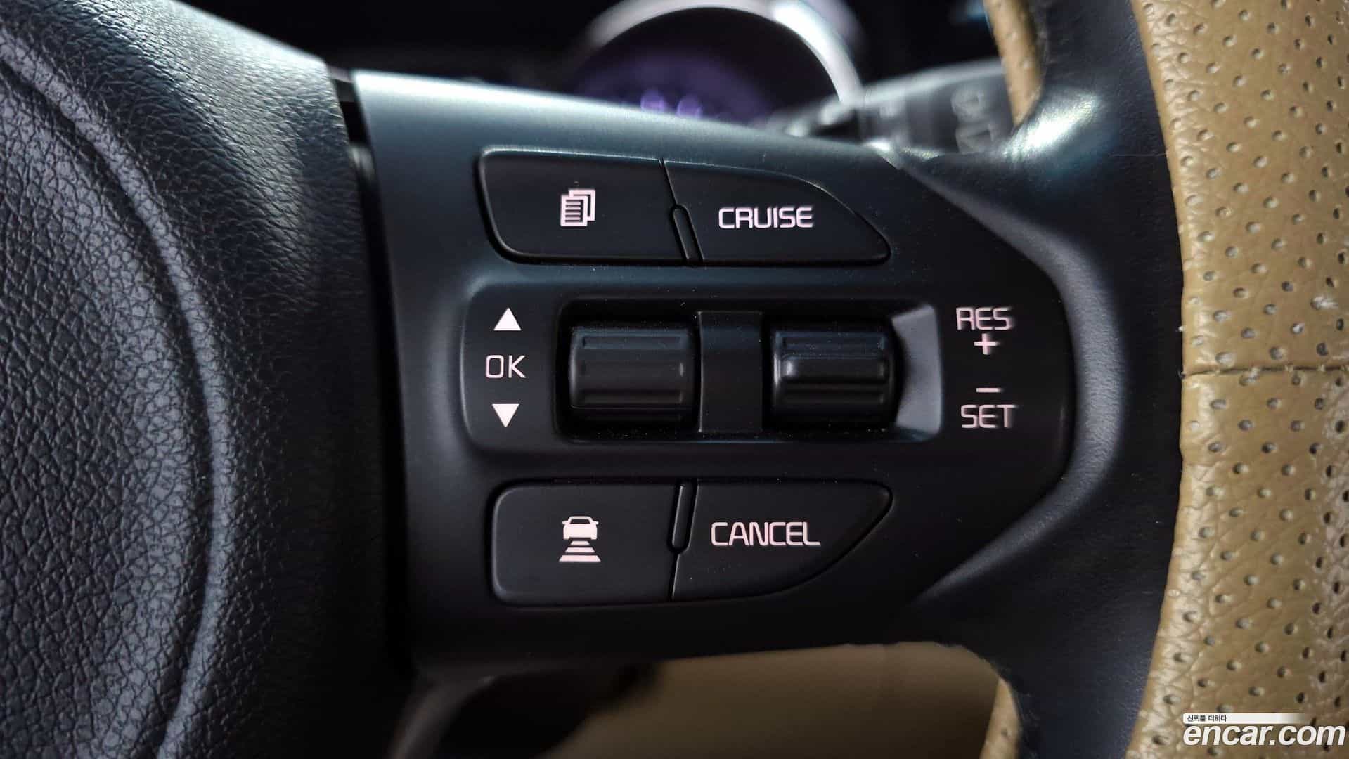 Canival Kia 2017.7-OPTION-022