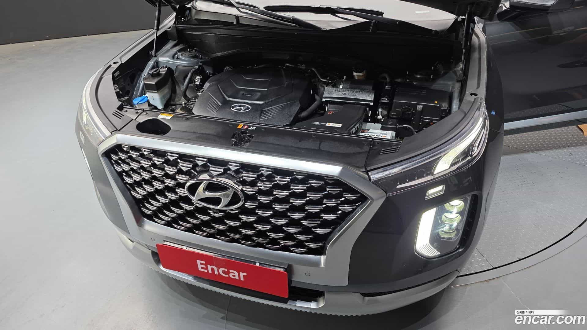 Palisade Hyundai 2020.5-OUTER-006