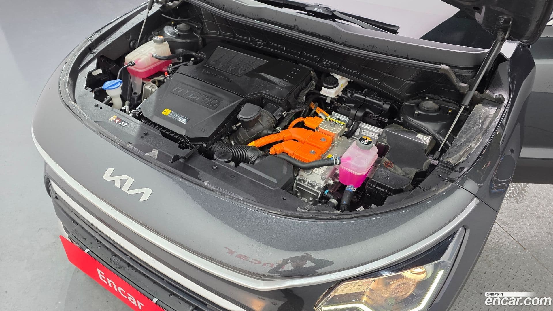 Main__Slider__Photo:Niro Kia 2024.1-5