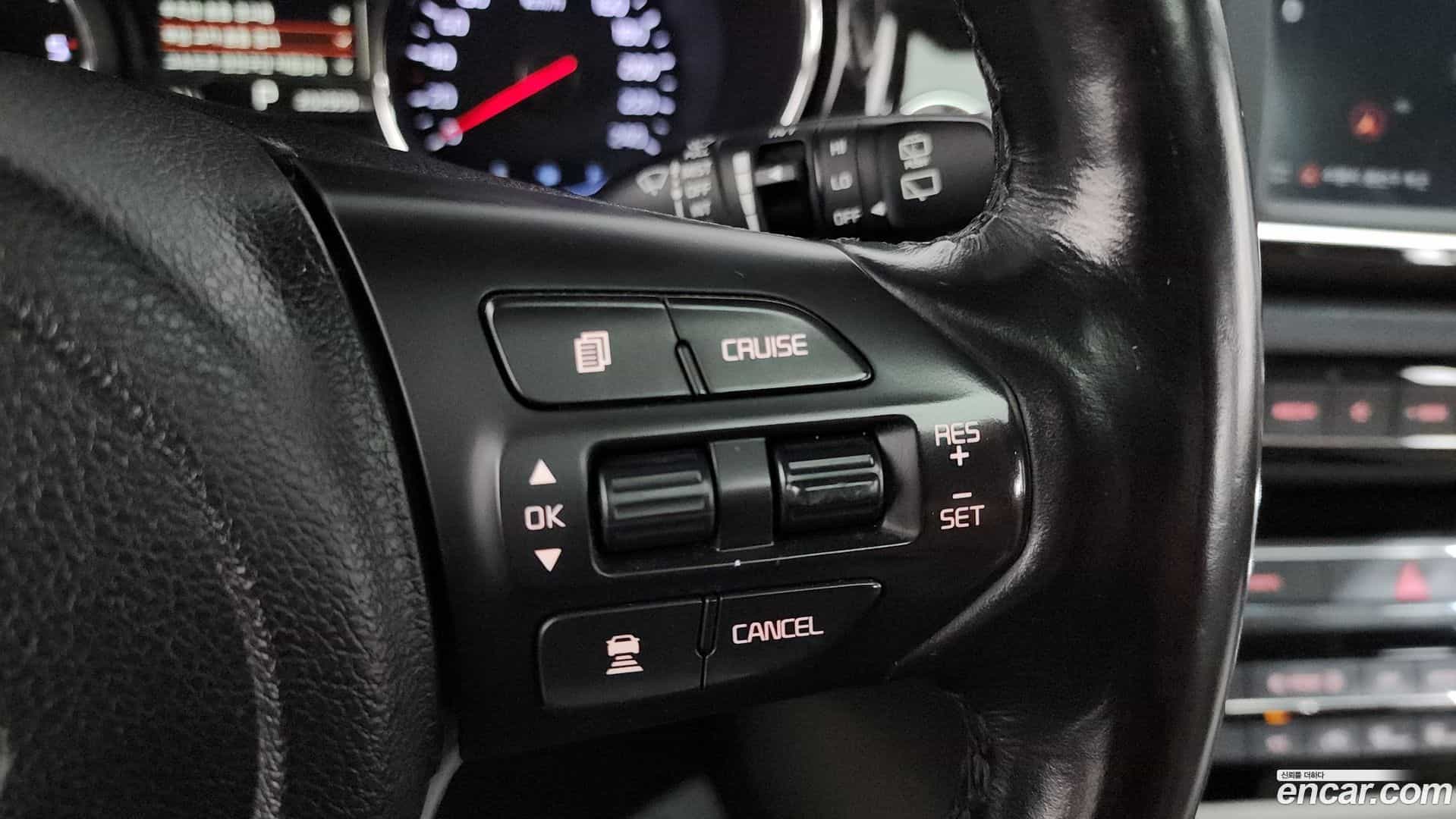 Canival Kia 2018.4-OPTION-019