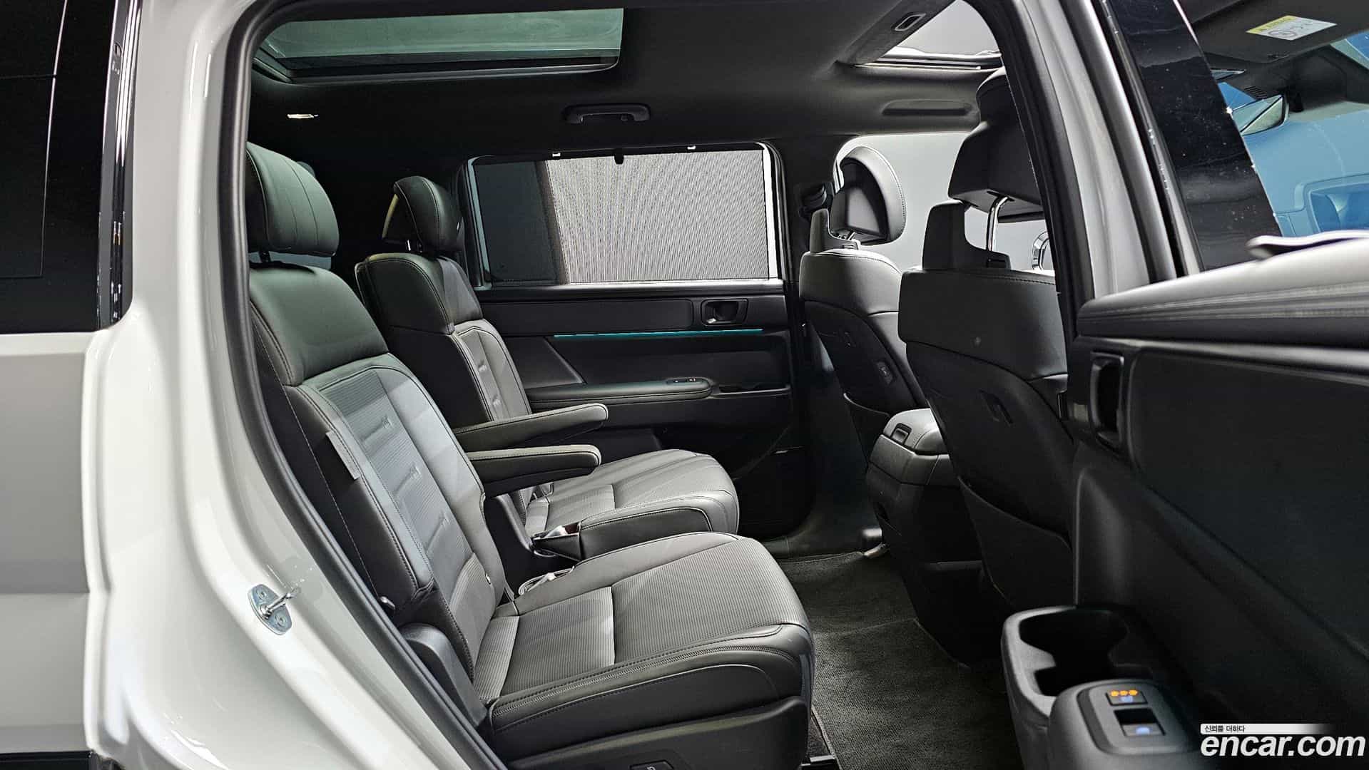 Santafe Hyundai 2024.4-OPTION-015