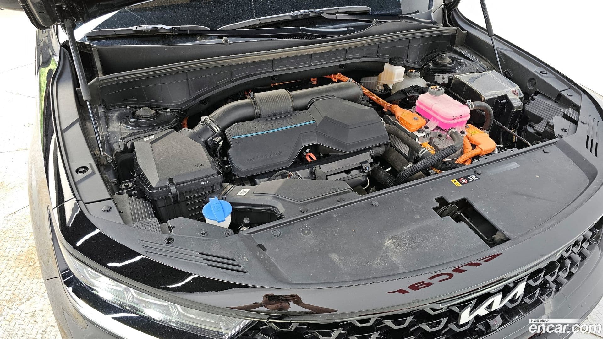 Main__Slider__Photo:Sorento Kia 2022.3-5
