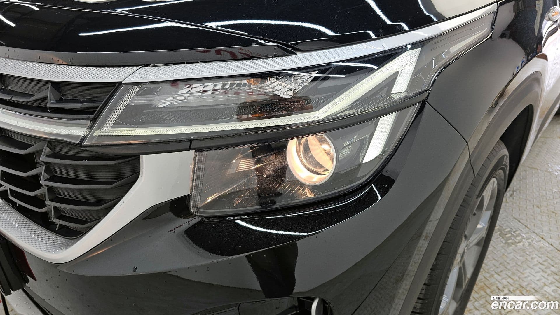 Main__Slider__Photo:Seltos Kia 2022.9-21