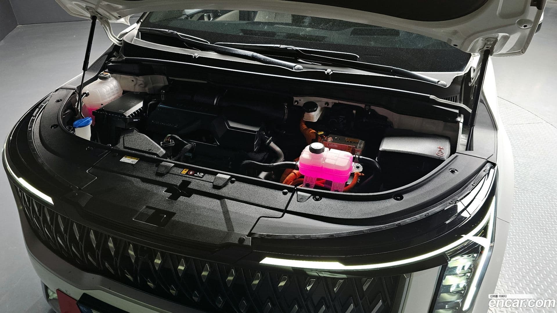 Main__Slider__Photo:Canival Kia 2024.3-5