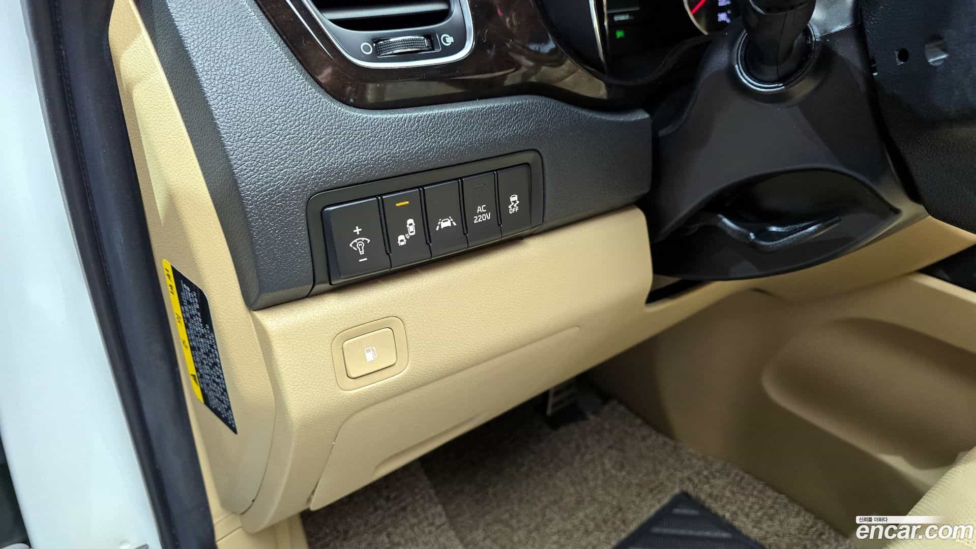 Canival Kia 2019.5-OPTION-021