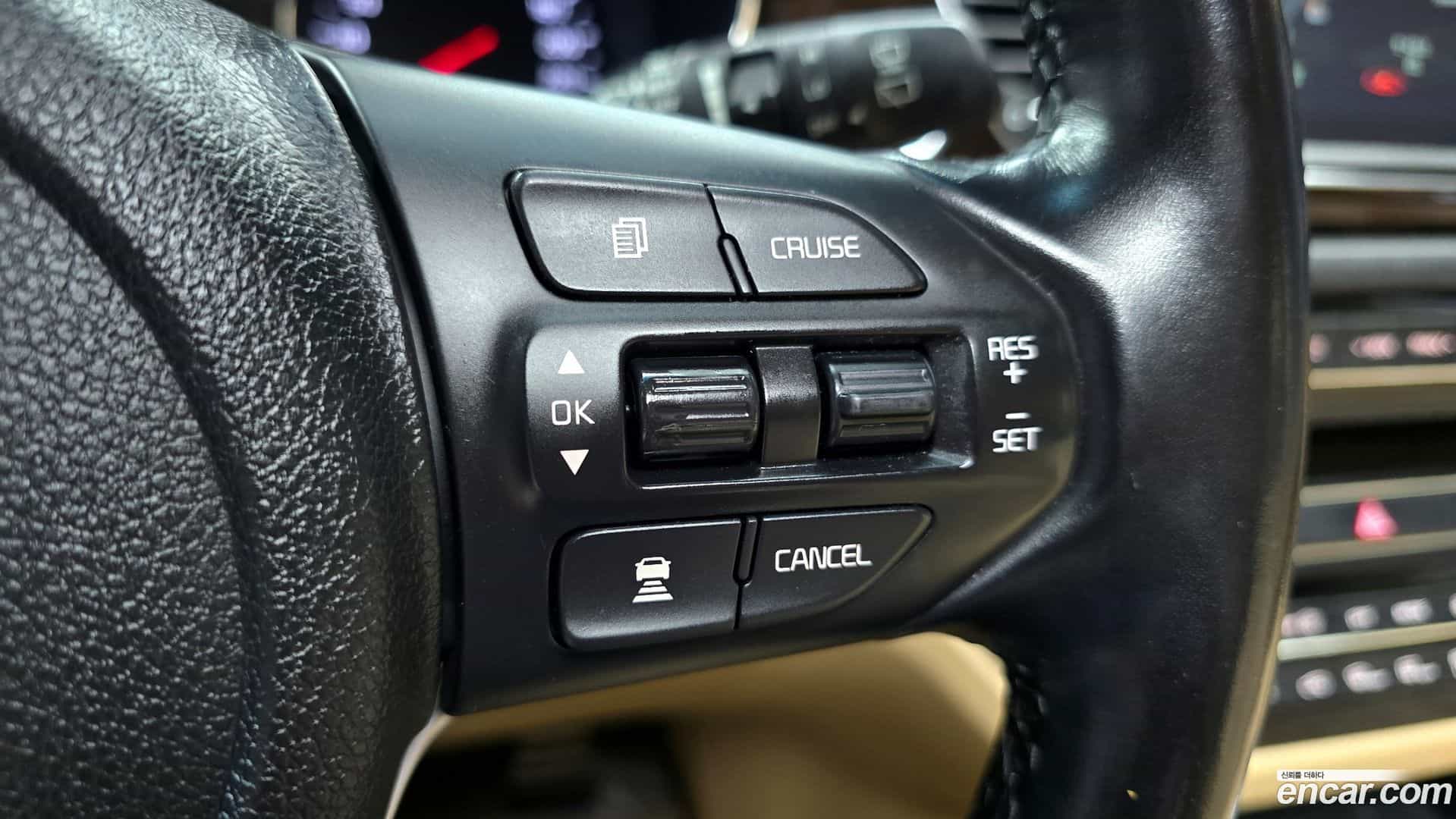 Canival Kia 2019.5-OPTION-022