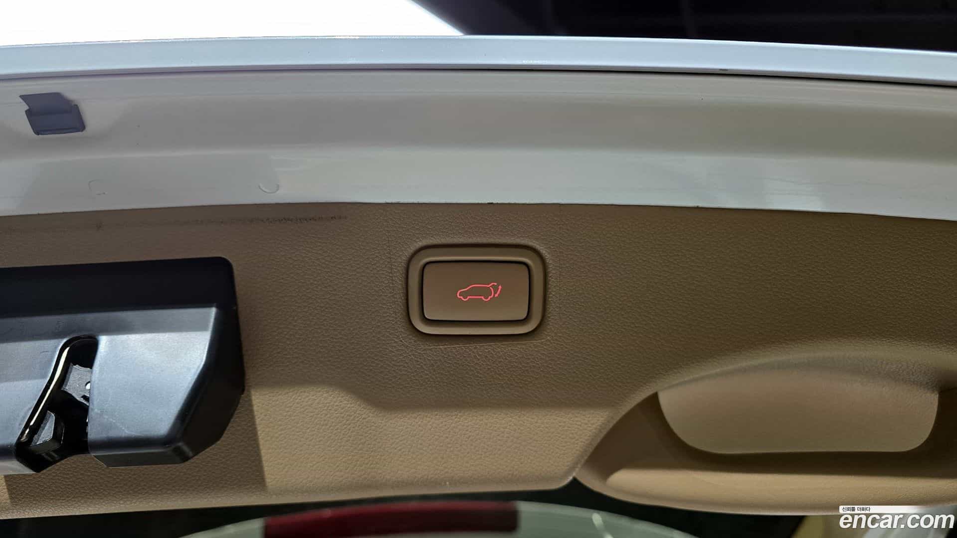 Canival Kia 2019.5-OPTION-024