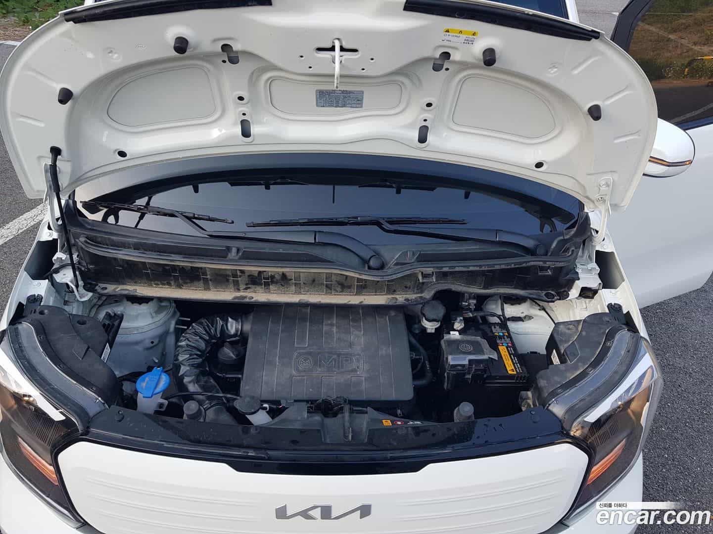 RAY Kia 2024.10-OPTION-022