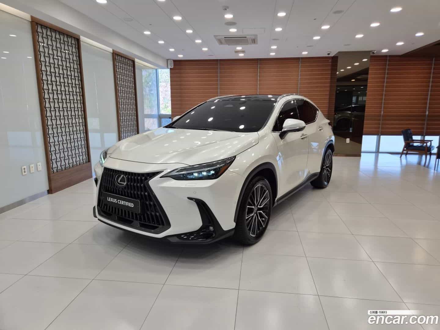 NX Lexus 2024.0-OUTER-001