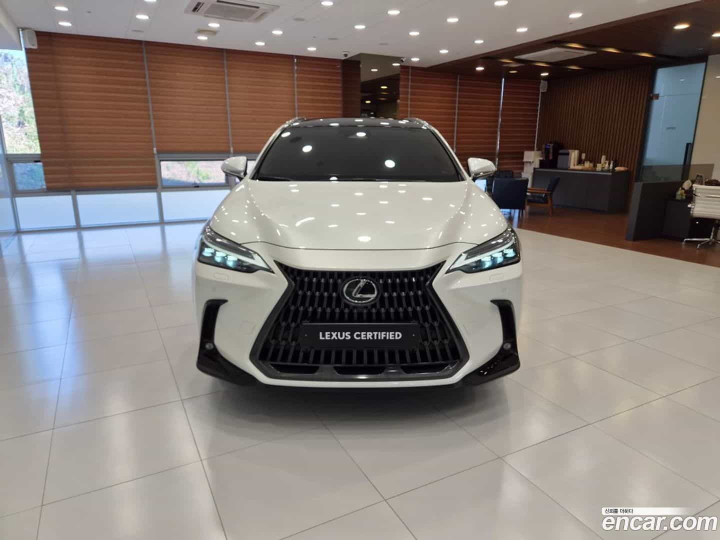 NX Lexus 2024.0-OUTER-003