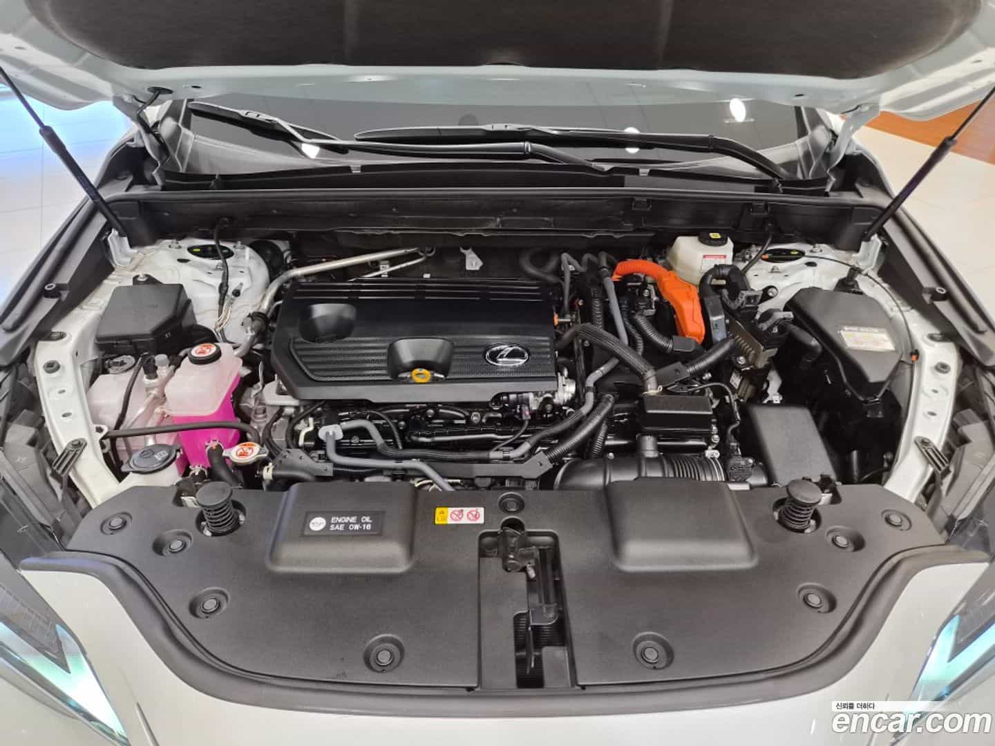 NX Lexus 2024.0-OUTER-005