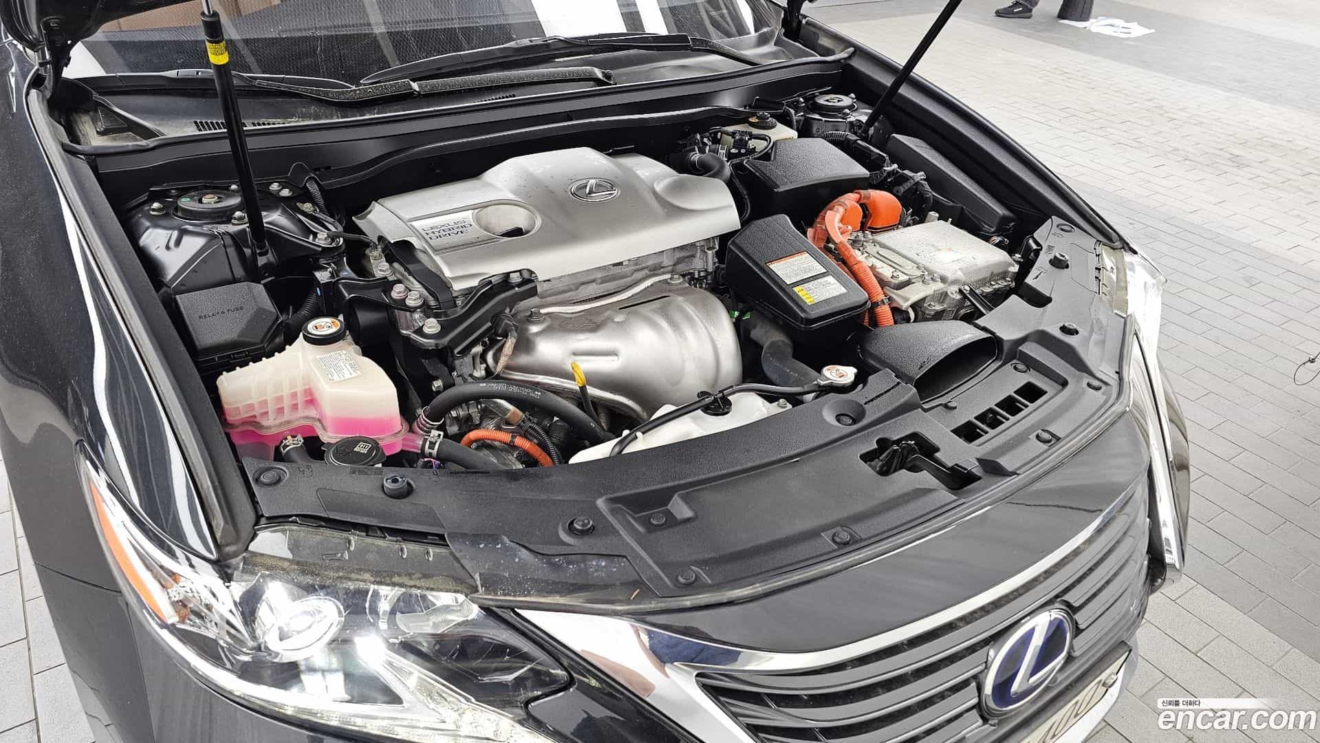 ES Lexus 2017.5-OUTER-006