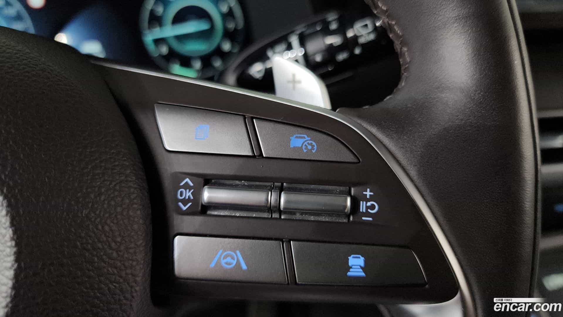 Palisade Hyundai 2022.10-OPTION-020