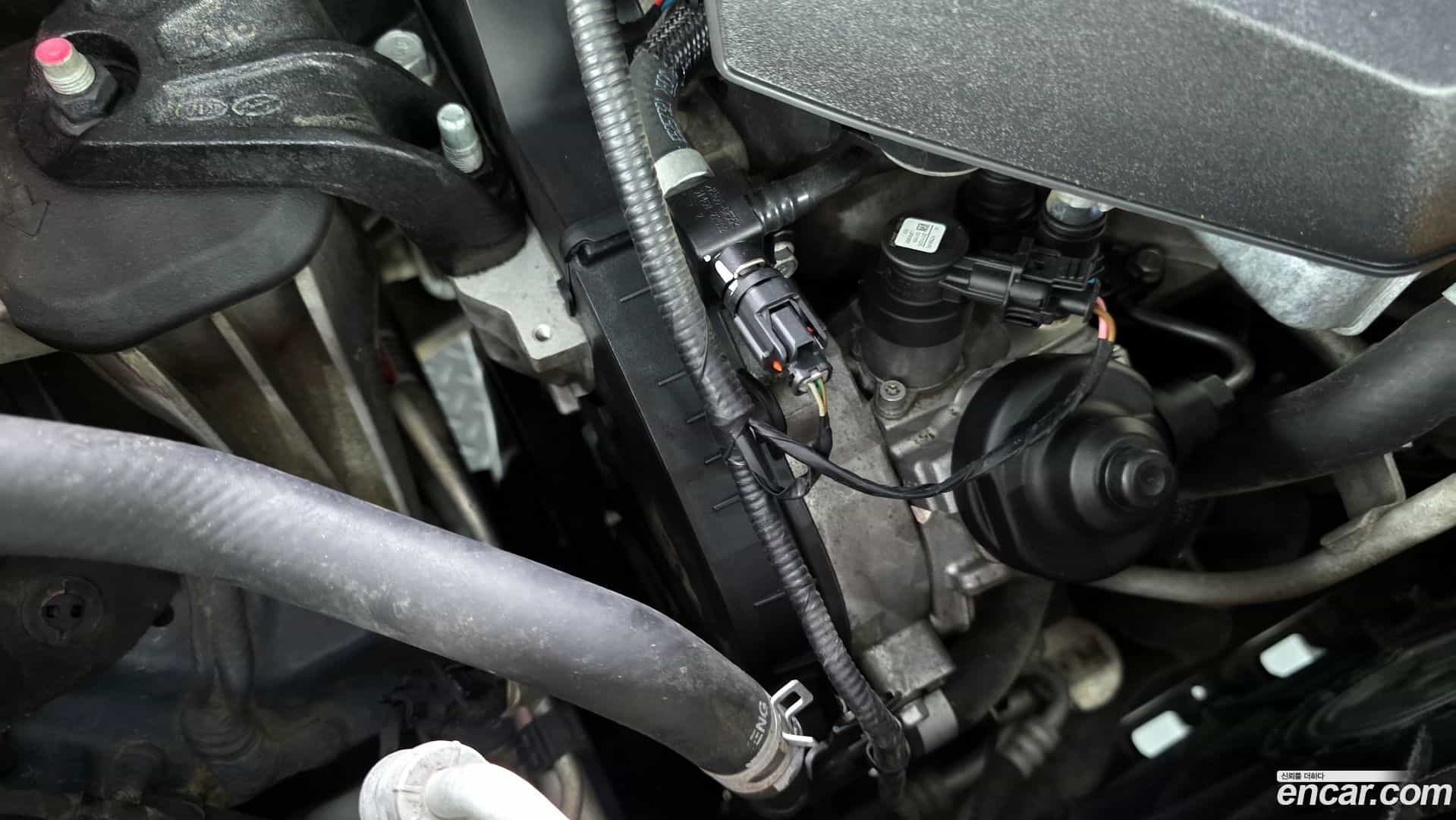 Canival Kia 2020.11-OPTION-048
