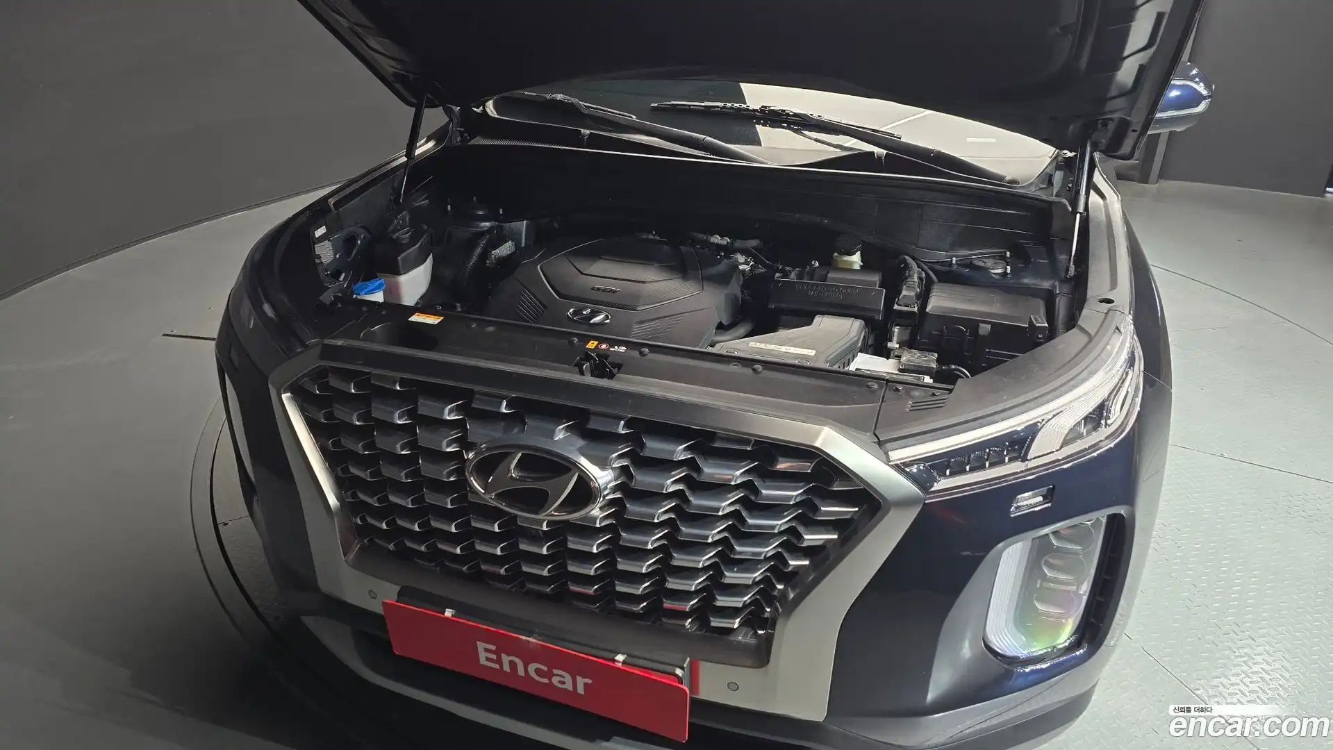 Palisade Hyundai 2019.6-OUTER-006