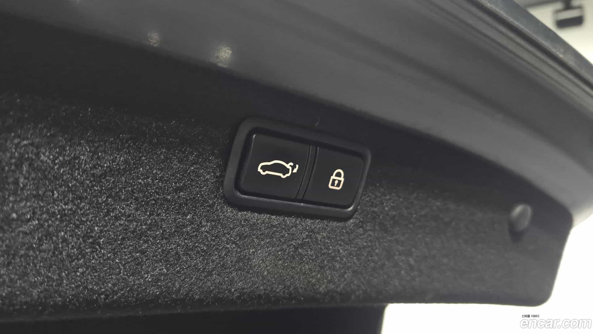 G80 Genesis 2019.0-OPTION-022
