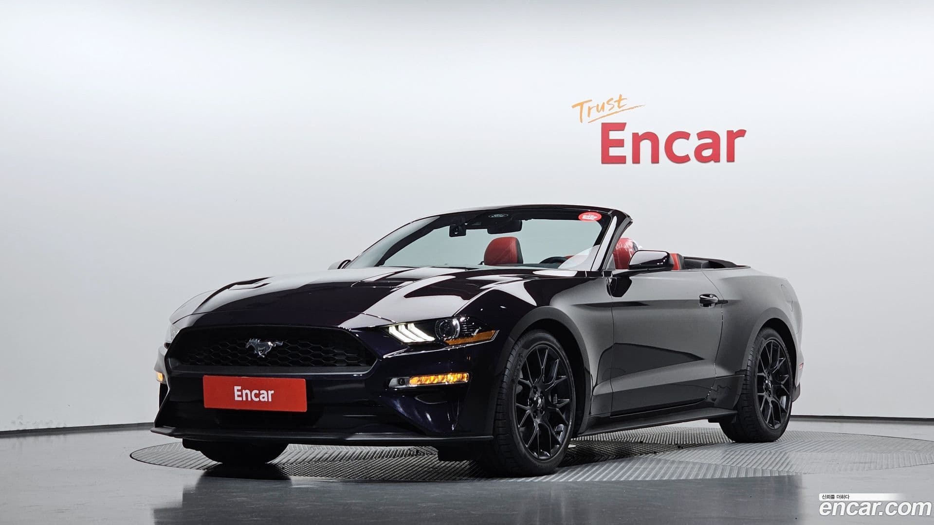 Main__Slider__Photo:Mustang Ford 2022.10-0